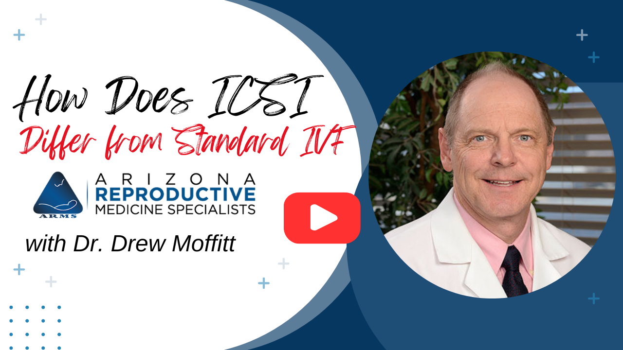 YouTube still image for the difference between ICSI and IVF AZ Daily Mix segment