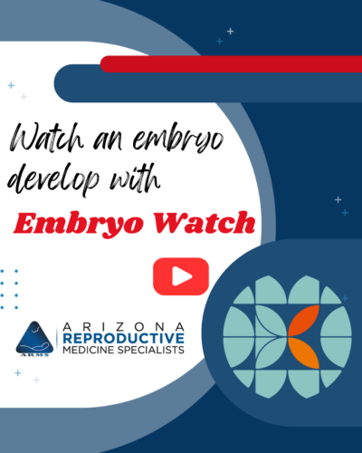 Watch this sample embryo development video that includes helpful descriptions