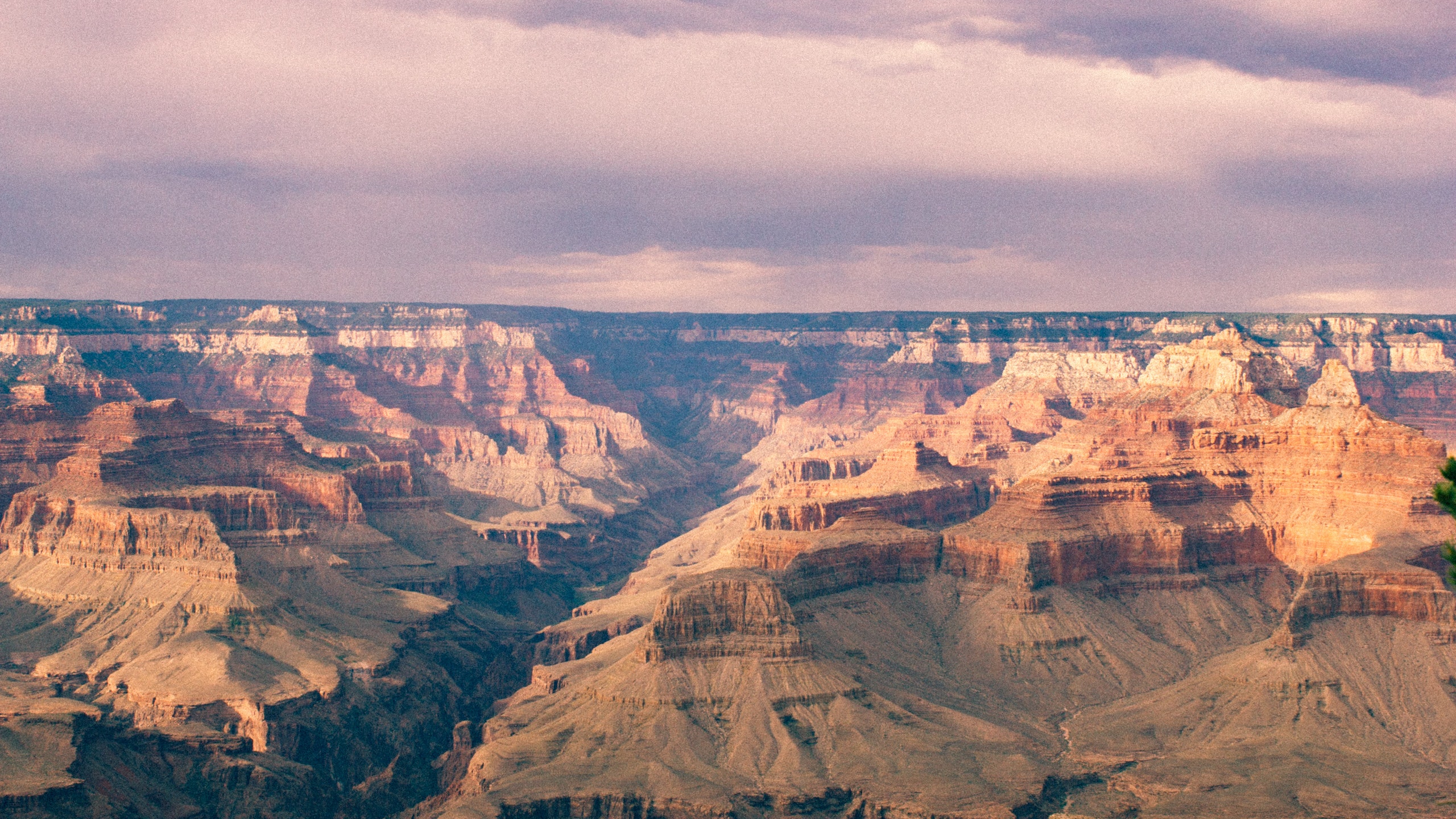 Travel for IVF and to see the Grand Canyon | Arizona Reproductive Medicine Specialists