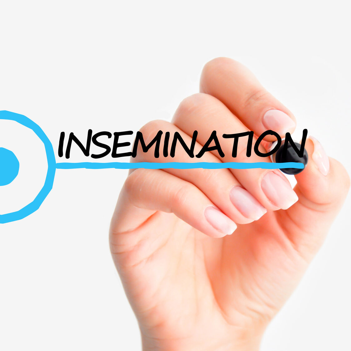 Artificial Insemination 101