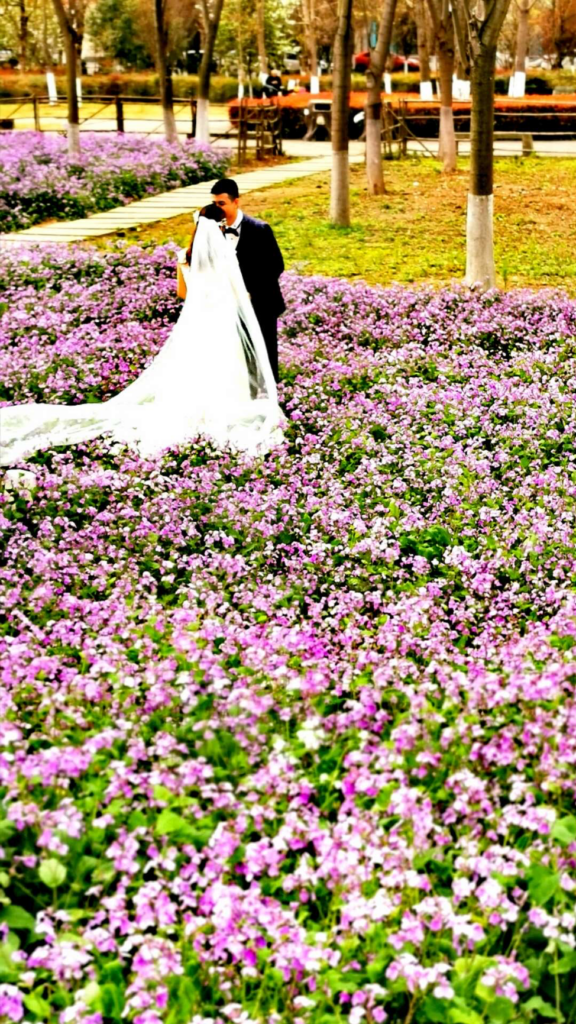 Couple Marries in field of purple flowers | Arizona Reproductive Medicine Specialists