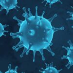 The Coronavirus