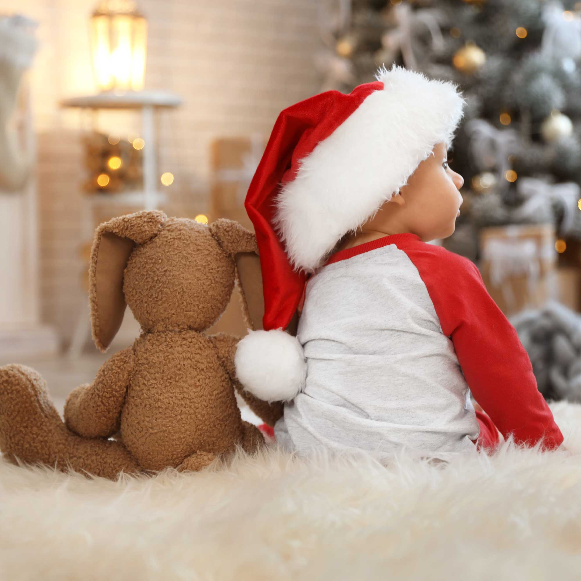 The Baby: Family and Fertility