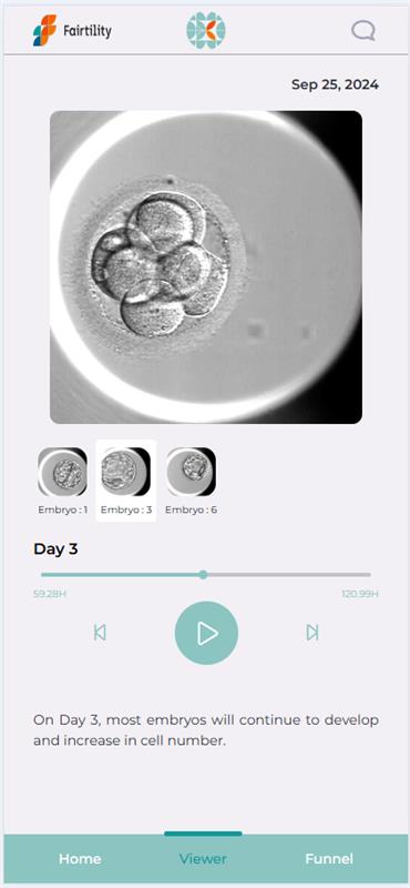 Embryo Watch viewer Day 3