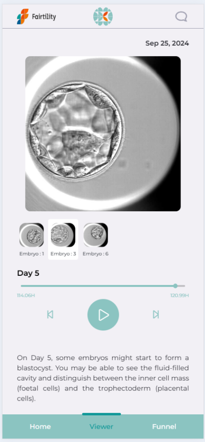 Embryo Watch viewer Day 5