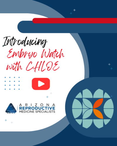 Watch this sample embryo development video that includes helpful descriptions