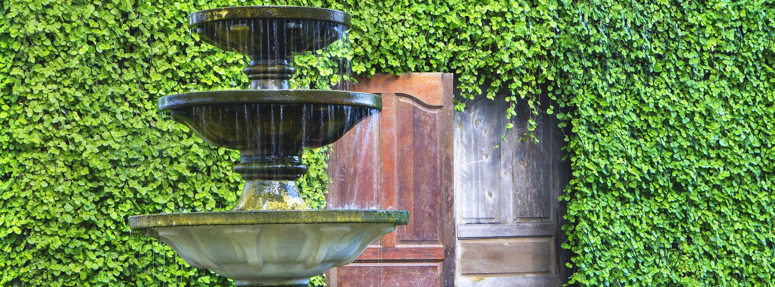 A flowing fountain of water in an ivy-covered courtyard | fountain method of freezing eggs | Arizona Reproductive Medicine Specialists | Phoenix, AZ