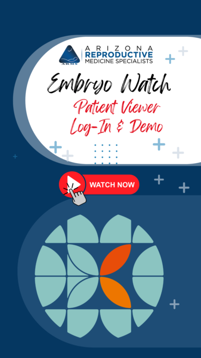 Embryo watch patient with CHLOE patient viewer log-in & demo
